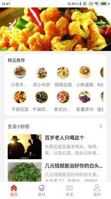 宠物毛发营养食谱推荐