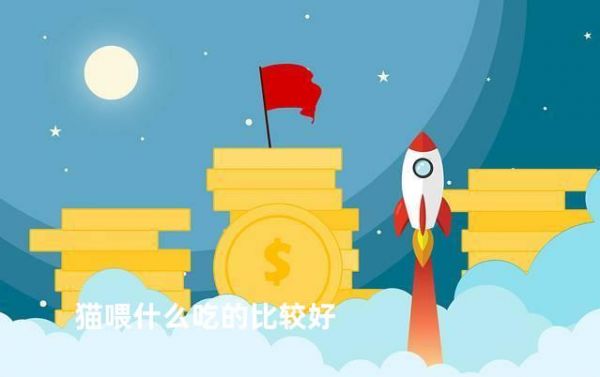 猫喂什么吃的比较好