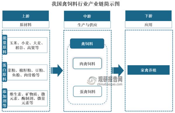 从我国禽饲料产业链来看，其上游主要是禽饲料的原材料，包括能量原料（玉米、小麦、大麦、稻谷、高粱等）、蛋白原料（菜粕、棉籽粕、豆粕、鱼粉、肉骨粉等等）以及添加剂等（维生素、矿物质、微元素、酶制剂、微量元素等）；中游为禽饲料生产与供应，根据所喂养禽类的用途，其可以分为肉禽饲料和蛋禽饲料；下游则是为以鸡、鸭、鹅等为主的家禽养殖业。