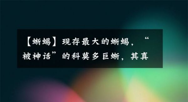 【蜥蜴】现存最大的蜥蜴，“被神话”的科莫多巨蜥，其真正实力究竟咋样？文章配图