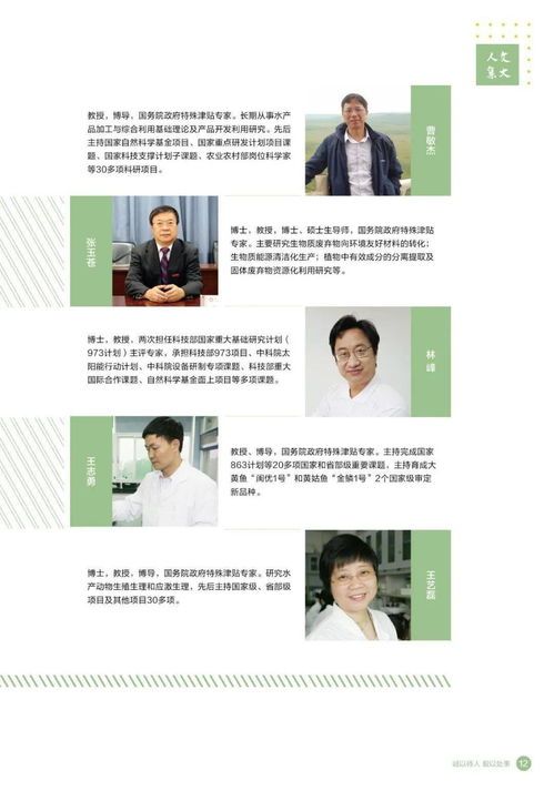 宠物怀孕,关爱有加,护理指南来啦!