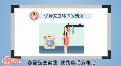 宠物怀孕饮食:科学喂养指南