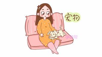 宠物怀孕，安心呵护，共度妊娠期