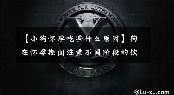 【小狗怀孕吃些什么原因】狗在怀孕期间注重不同阶段的饮食疗法。文章配图