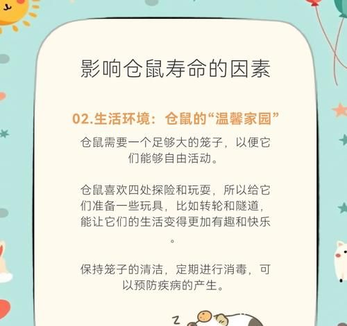 如何延长小仓鼠的寿命？