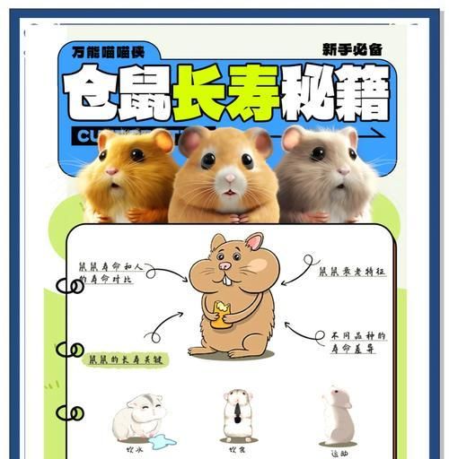 如何延长小仓鼠的寿命？