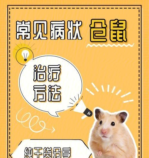 仓鼠打架的原因及如何避免（探究仓鼠打架行为的原因以及提供有效的避免方法）