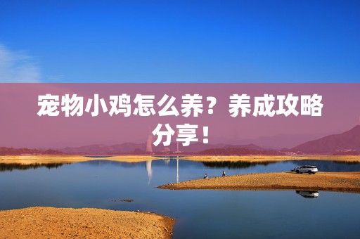 宠物小鸡怎么养？养成攻略分享！-第1张图片-3574手游网