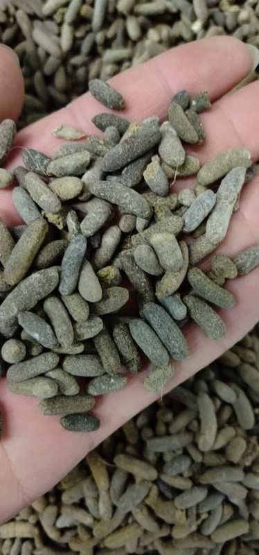 有机肥料 豚鼠粪便黑豚粪便荷兰猪粪便