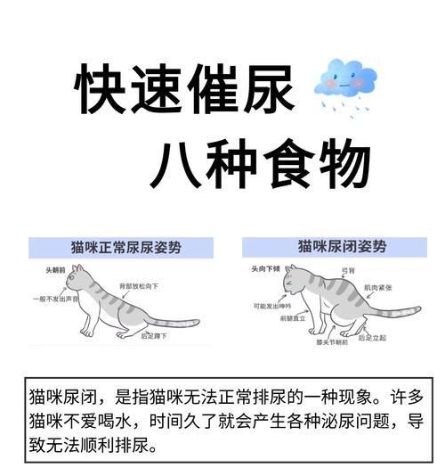 猫咪尿闭应选择哪种猫粮？如何预防尿闭？