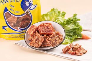 宠物强免疫,饮食是关键