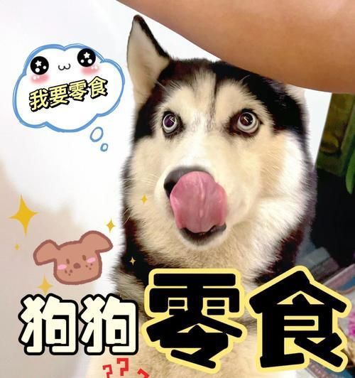 幼狗的日常饮食需求（为你的幼狗提供均衡营养的饮食计划）