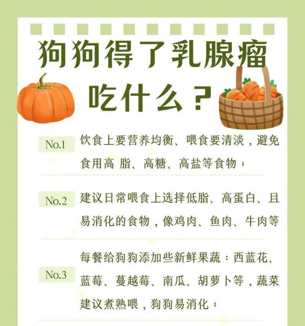 幼狗的日常饮食需求（为你的幼狗提供均衡营养的饮食计划）