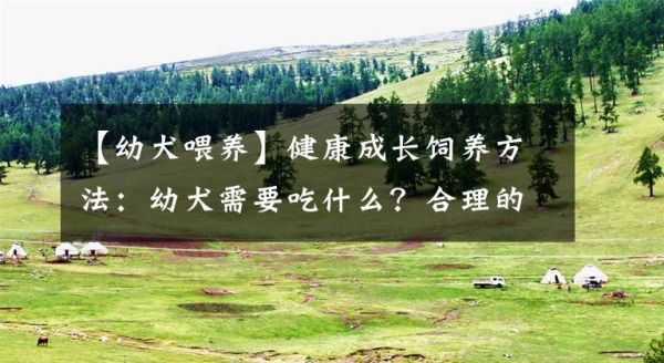 【幼犬喂养】健康成长饲养方法：幼犬需要吃什么？合理的喂食方式是怎么样的？文章配图