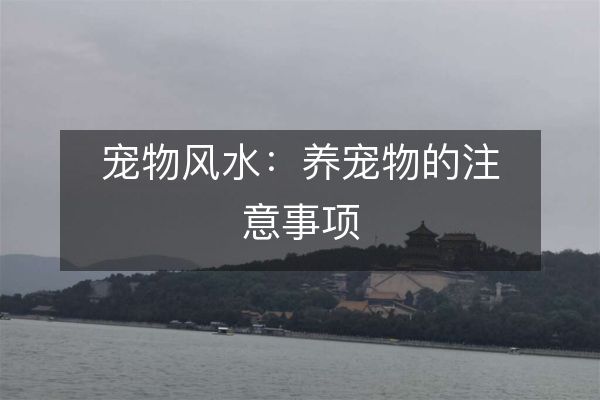 宠物风水：养宠物的注意事项