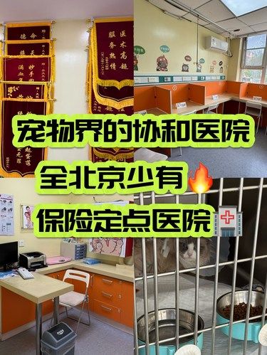 能报销的动物医院！全北京也少有！