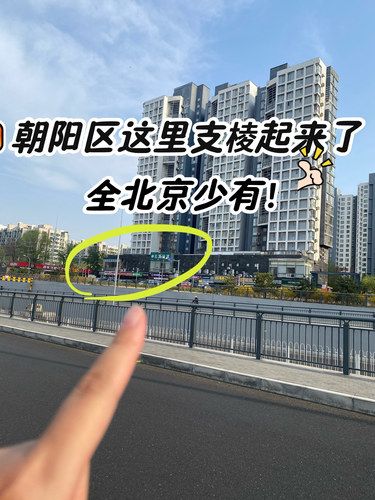 朝阳你不宣传这个是有什么心事⁉️