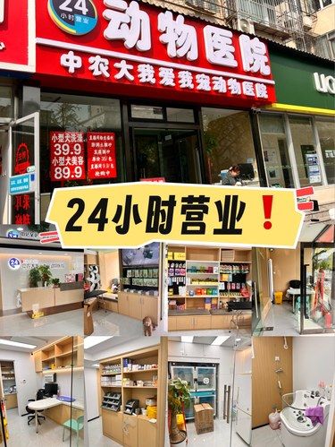 亚运村的毛孩子有福了！收藏好❗️