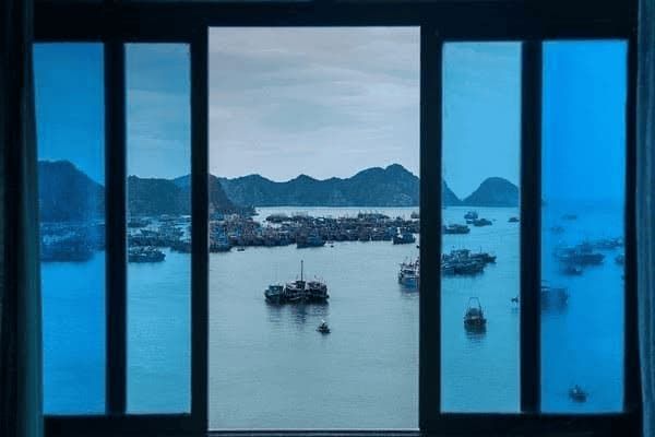 宠物狗缺钙怎么办，宠物狗缺钙怎么办呢