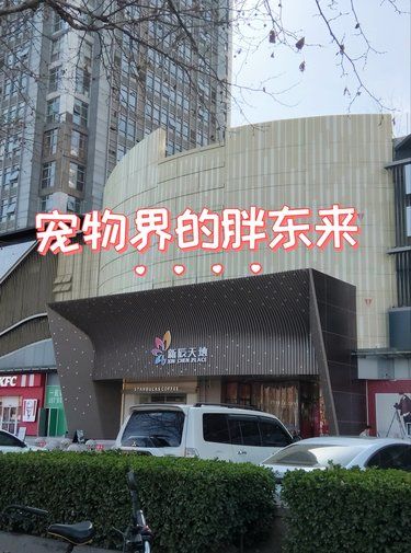 宠物界的胖东来。真心不是吹的。