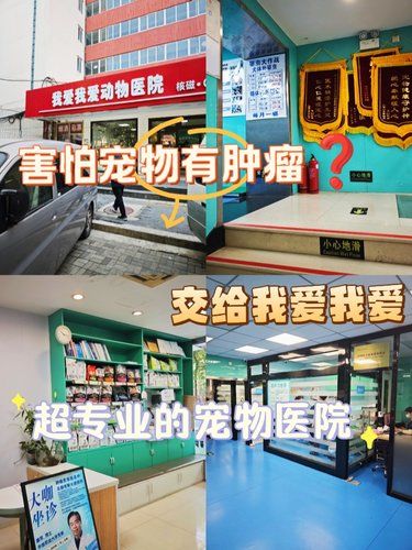 我爱我爱上新肿瘤筛查，赶快来个爱宠做体检吧❗