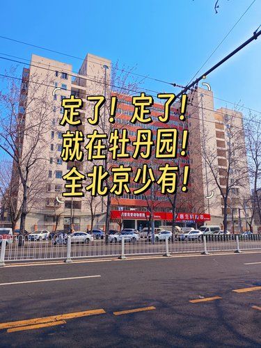 牡丹园真支棱起来了全北京都少有