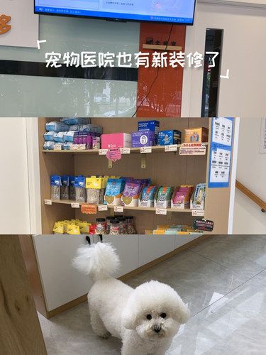 医术超赞 医心更美~