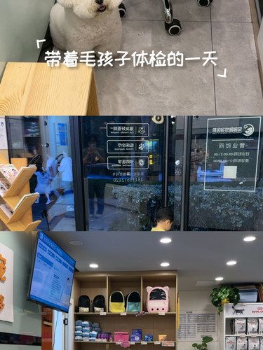 快乐宠物家