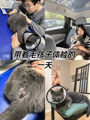 给宠哆哆宠物医院实名制好评！