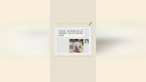 做实验不太行，但干饭莫问题