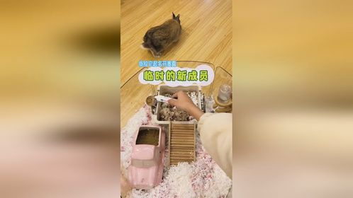我终于不是起名废啦～开心