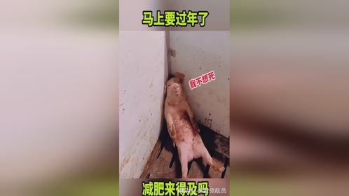 马上要过年了，减肥来得及吗？