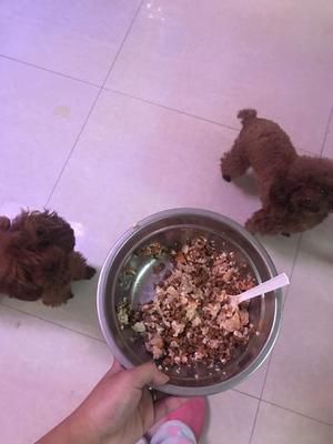 狗粮伴侣 挑食狗狗必备的做法 步骤6