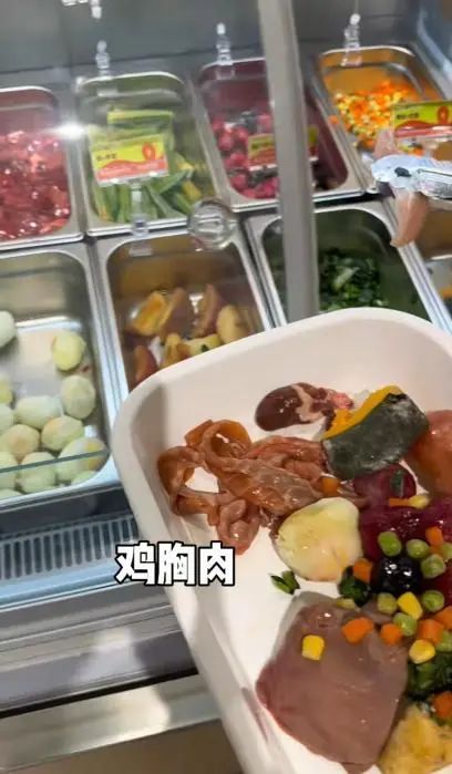 上海现"汪星人专属麻辣烫"，开店首日“狗山狗海”