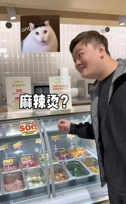 上海现"汪星人专属麻辣烫"，开店首日“狗山狗海”