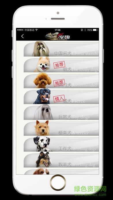 pet宠趣手机版 v1.0 安卓版 2