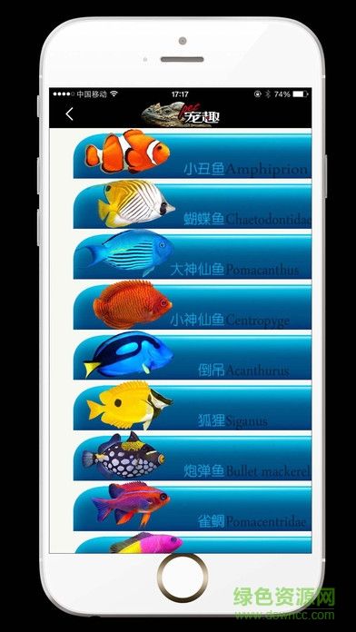 pet宠趣手机版 v1.0 安卓版 1