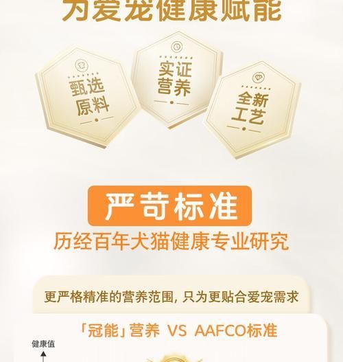 中型犬一天需要多少狗粮？如何根据体重调整食量？