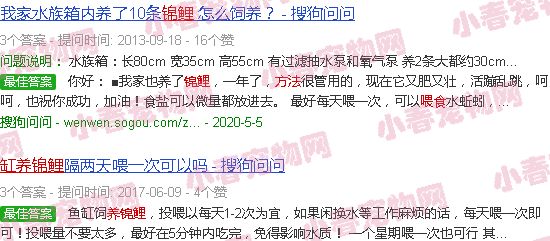 缸养锦鲤喂食的正确方法