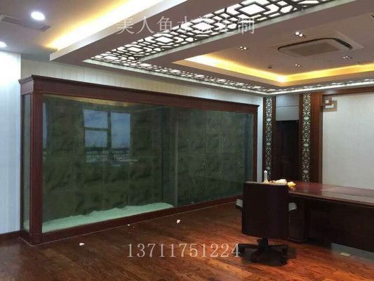 在鱼缸中养护鱼缸中养护技巧，这些植物不仅能美化水质，还能净化水质（哪些植物适合养在鱼缸里？）