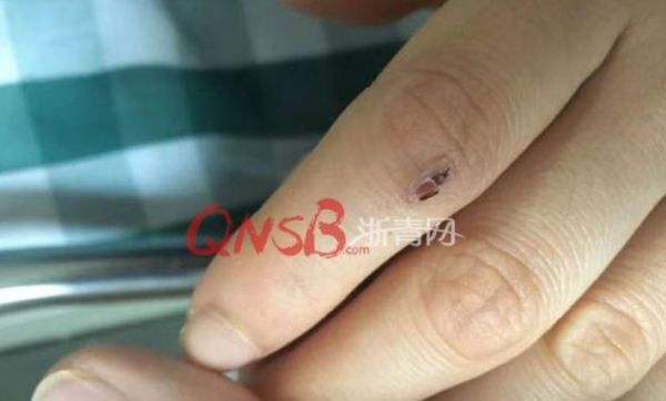 女子网购一条蛇！拆开快递，瞬间崩溃：我再也不敢了……