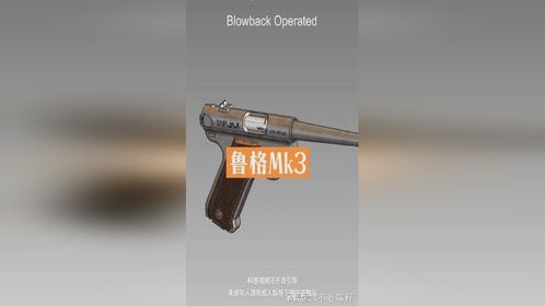 鲁格MK3内部 结构