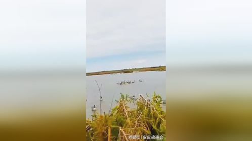 丧彪用喷子打野鸭，贴脸开大太猛了！