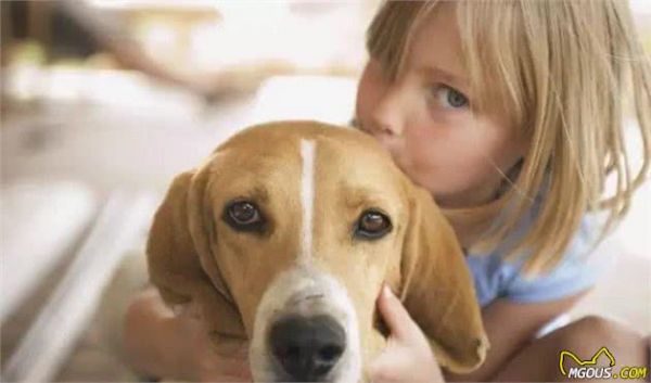 狗狗要不要吃处方犬粮？