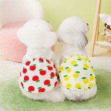 宠物服装狗狗衣服春夏季薄款裙子猫咪衣服宠物衣服24水果裙子吊带