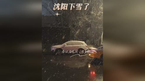 沈阳下雪啦，每一片雪花都承载着冬的余韵，却又在春的柔波里消融