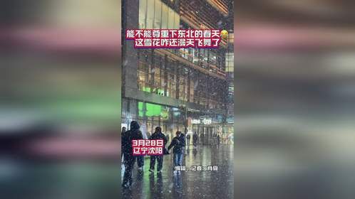 能不能尊重下东北的春天这雪花咋还漫天飞舞啦#沈阳下雪了#沈阳春日打卡攻略上新了