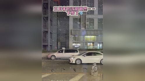 三月末的沈阳竟然~~下雪了