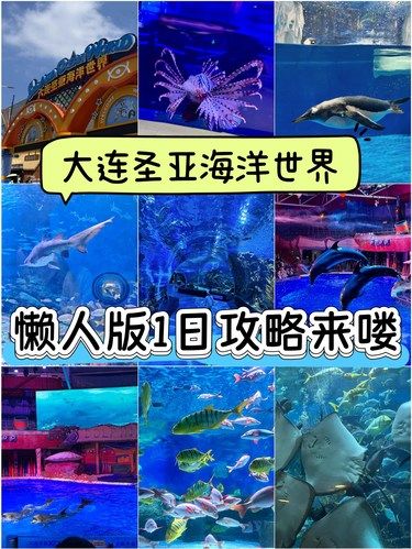 大连圣亚海洋世界 懒人版一日游攻略来啦