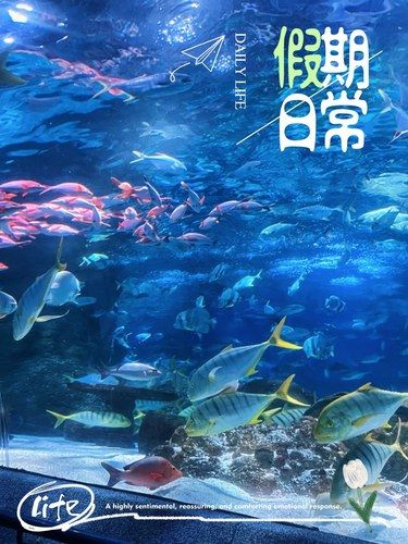 大连圣亚海洋世界游园攻略 （带娃的可以参考）